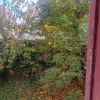 Shieldsie (@shieldsie) 's Twitter Profile