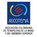 ASCOTEMA (@ascotema) Twitter profile photo ASCOTEMA (@ascotema) Twitter profile photo