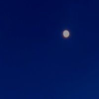 ✩ ₊ ⁺ ⋆L⋆⁺₊ ✩ (@tproblemat22074) 's Twitter Profile