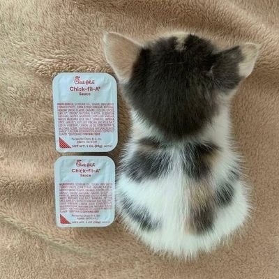 pooweeeeepoo's profile picture. 