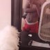 INTERNET WHORE 👨🏿💻 (@hiphopstahh) Twitter profile photo INTERNET WHORE 👨🏿💻 (@hiphopstahh) Twitter profile photo