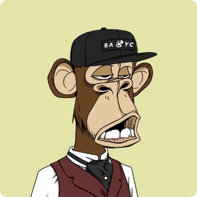 Bob Profile