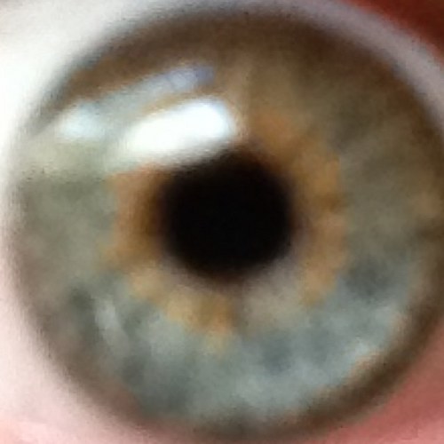 TheObservative1's profile picture. Righteous. Opinionated. Articulate. Rebelious. (ROAR)