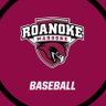 RoanokeBaseball's profile picture. The Official 𝕏 of Roanoke College Baseball | 2017 ODAC and South Region Champions | 2017 College World Series | @ODACAthletics @NCAADIII