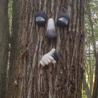 Jess Masaki Nachman (@jessnachman) 's Twitter Profile