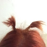 e-diot (@nazcevski) Twitter profile photo