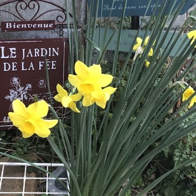 TvojSEeeM340710's profile picture. 