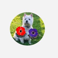 Mum, westie Annie, Oakley (cat and boss); (@tbiglowtricia) 's Twitter Profile