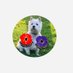 Mum, westie Annie, Oakley (cat and boss); (@tbiglowtricia) Twitter profile photo Mum, westie Annie, Oakley (cat and boss); (@tbiglowtricia) Twitter profile photo