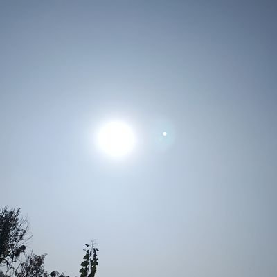 yedengyuan153's profile picture. 