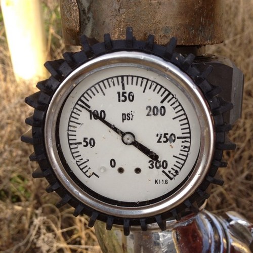 incendia101's profile picture. 