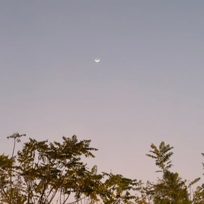 BiNe82212363157's profile picture. 