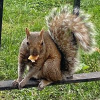 slouch (@recursed_) 's Twitter Profile