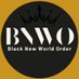 The BNWO (The Black New World Order ™️) (@servebnwo) Twitter profile photo The BNWO (The Black New World Order ™️) (@servebnwo) Twitter profile photo