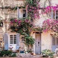 Claudia Buzzelli 🇦🇷🌻🇫🇷 (@juliefer1958) 's Twitter Profile Photo Claudia Buzzelli 🇦🇷🌻🇫🇷 (@juliefer1958) 's Twitter Profile Photo