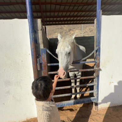 10Mnif's profile picture. نُساير الخطوات كي لانقع بالشهوات