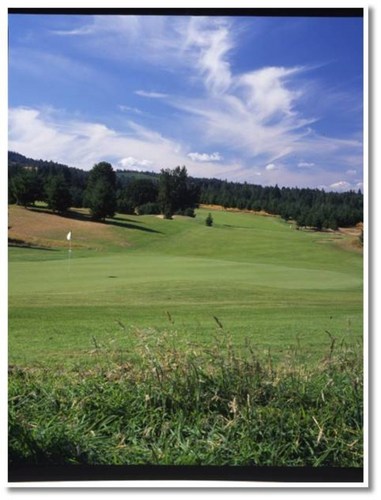 18 hole championship golf on 7,100 yrds.  Home to the Inn at Diamond Woods where you get 50% off golf when you stay at the Inn.