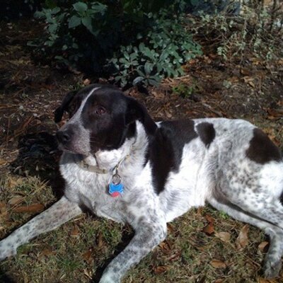Profile Picture of Lynn Wiese (@lynnwiese) on Twitter