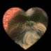 maju (@aishaarica) Twitter profile photo maju (@aishaarica) Twitter profile photo