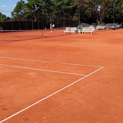 aphexcoya's profile picture. Markov Chains. Tenis. Flan Mixto.