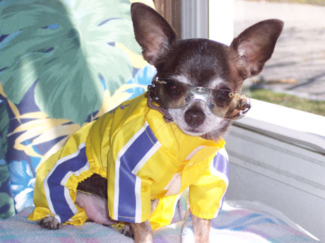 pari51's profile picture. 