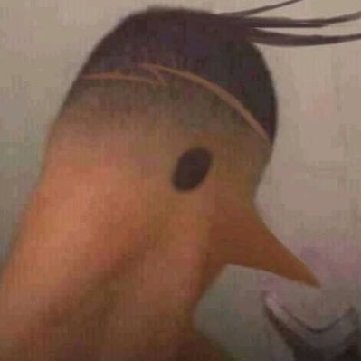 gat0viado's profile picture. 