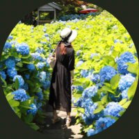 アリス◡̈*❤︎@ポケモンgo秋田 (@4_alice_22) 's Twitter Profile