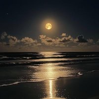 Tek Nokta (@teknoktaolmali) 's Twitter Profile