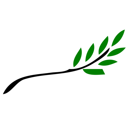 dace_zarina's profile picture. Par un ap .NET.