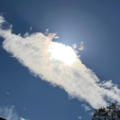 egaomama4488's profile picture. 