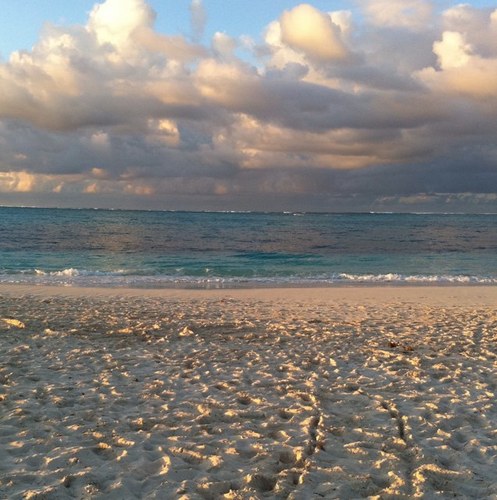 dssilber's profile picture. 