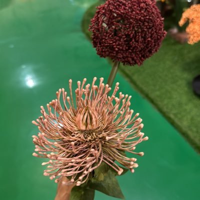 TheTypewri59343's profile picture. 