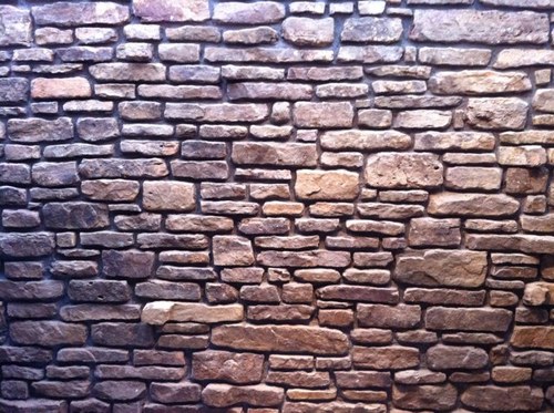 coypuryear's profile picture. 