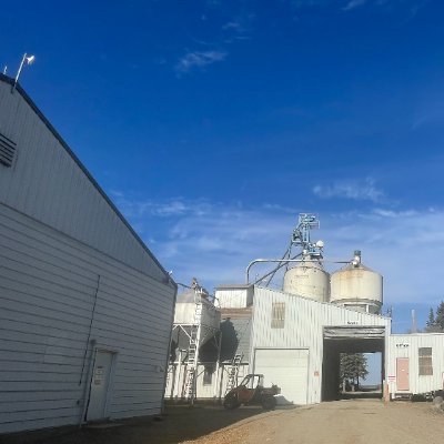 PatenaudeSeeds's profile picture. 