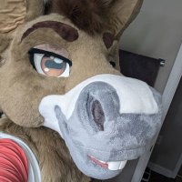Hawlton ฮฮ๐ (@hawltondonk) 's Twitter Profile Photo Hawlton ฮฮ๐ (@hawltondonk) 's Twitter Profile Photo