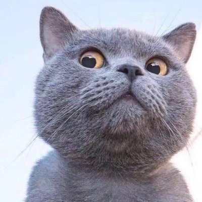 szacc19295892's profile picture. 我太想进步了

我太想发财了

我太想有钱了