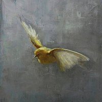 TruthBeTold (@ruffledcanary) 's Twitter Profile