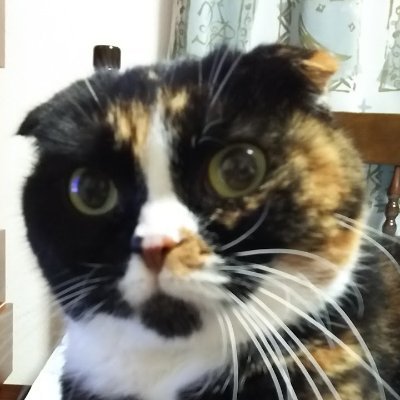 o00no0's profile picture. 