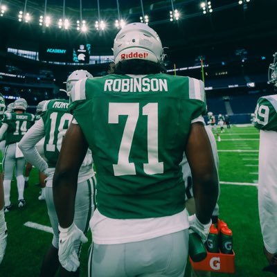 Ace Robinson Profile