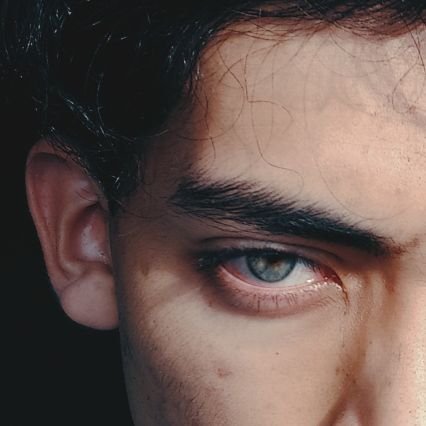 Liperio44's profile picture. C:\Self-taught_Artist\Junior_Dev\🦁