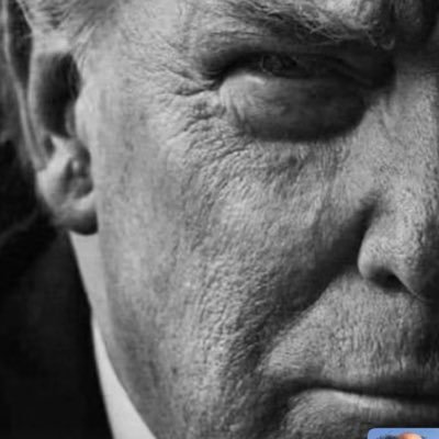 coloractioner's profile picture. 