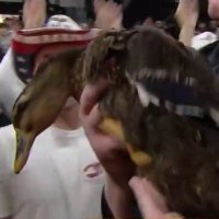 The Duck from THE DUNK (@duckfromthedunk) 's Twitter Profile