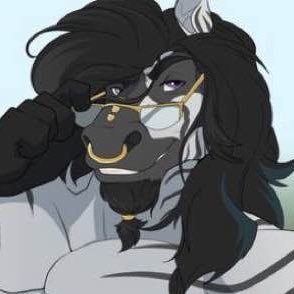 ZEBRADXM's profile picture. You know why you’re here~