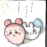 ぱも (@pamopamosu) Twitter profile photo
