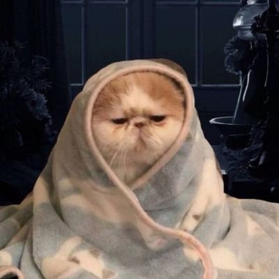 ngwng37683's profile picture. support ✨ KPP 🫶🏻 9PP🌼🐱