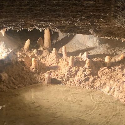 imjessjones_'s profile picture. 