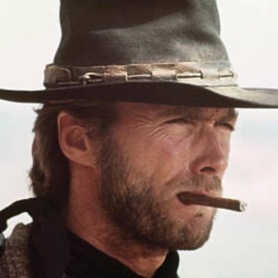 thetransportN1's profile picture. 