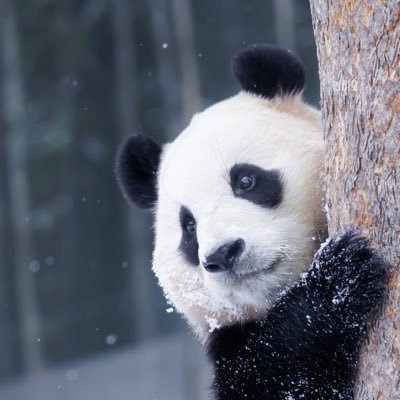 lusharoun's profile picture. 선협물 좋아해요 :D