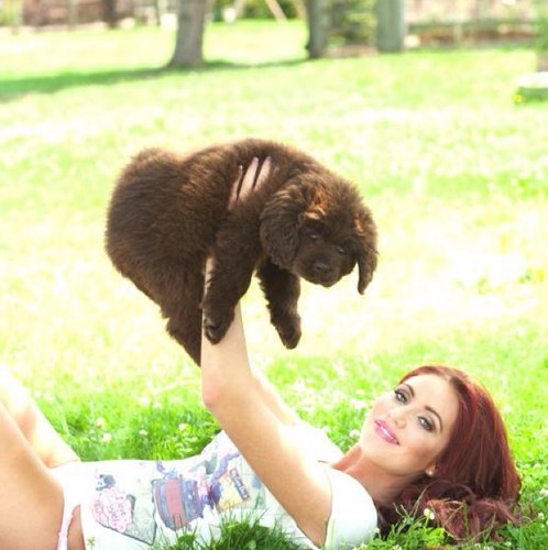 AmyChilds_xx's profile picture. This account is dedicated for the amazing Amy Childs!! Chris Johnson from Scousewives, Mark Wrights dad and Prince Childs follow!! Amy follows & tweeted xxx