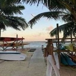 Turniotix0dz's profile picture. 